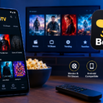 Key Features of the BeeTV App